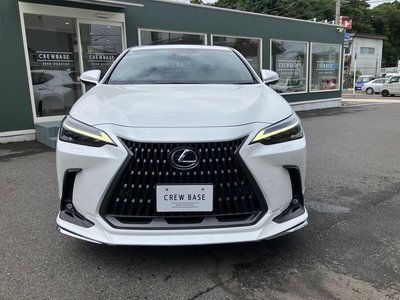 صورة مصغرة 56 لـ 2023 Lexus NX