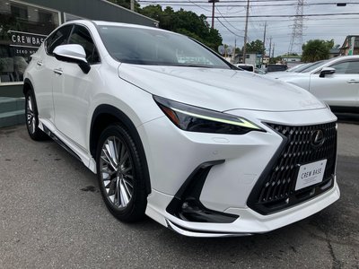 صورة مصغرة 59 لـ 2023 Lexus NX