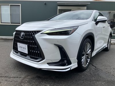صورة مصغرة 55 لـ 2023 Lexus NX