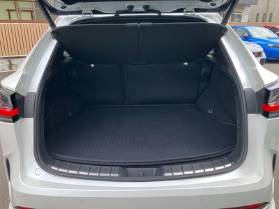 صورة مصغرة 49 لـ 2023 Lexus NX