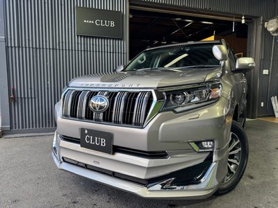 2020 Toyota LAND CRUISER PRADO — фото 2