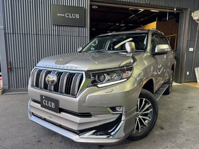 2020 Toyota LAND CRUISER PRADO — фото 1