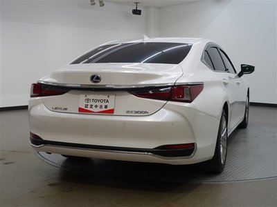2022 Lexus ES photo 8