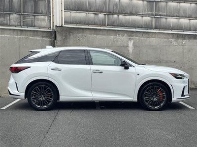2023 Lexus RX thumbnail 30