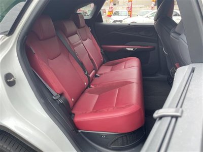 2023 Lexus RX thumbnail 22