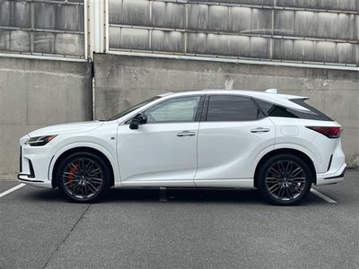 2023 Lexus RX thumbnail 31