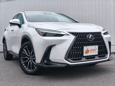 صورة 6 لـ 2023 Lexus NX