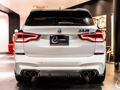 2020 BMW X3 M 照片 59