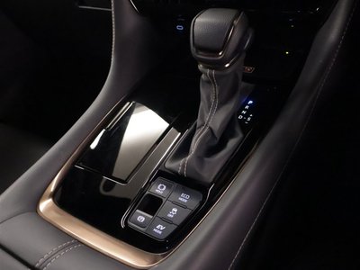 2024 Toyota ALPHARD 缩略图 13