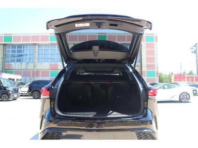2023 Lexus RX photo 13
