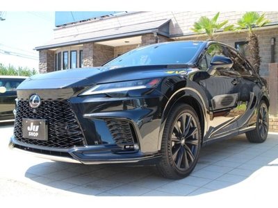 2023 Lexus RX thumbnail 20