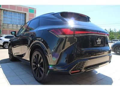 2023 Lexus RX thumbnail 25