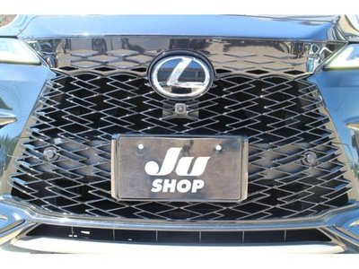 2023 Lexus RX photo 3