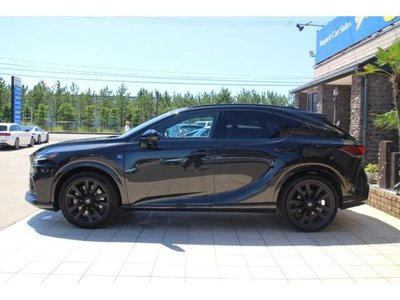 2023 Lexus RX thumbnail 24