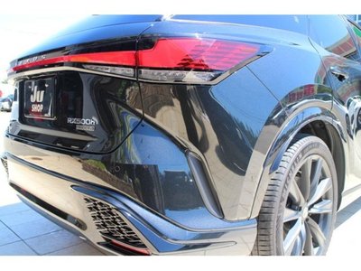 2023 Lexus RX photo 10