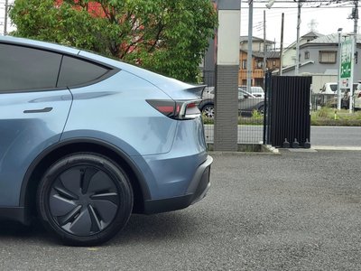 2025 Tesla MODEL Y — миниатюра 100