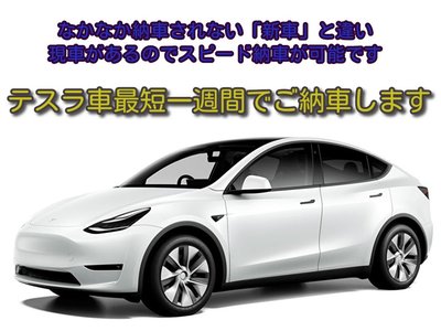 2025 Tesla MODEL Y — миниатюра 3