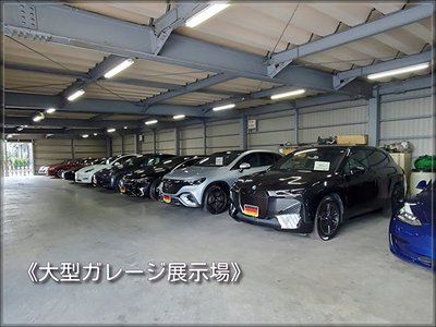 2025 Tesla MODEL Y — миниатюра 115