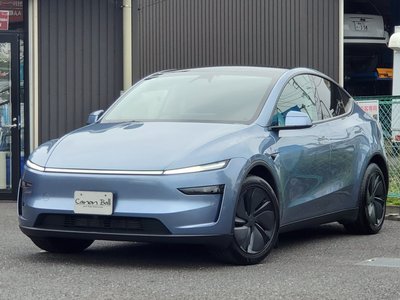 2025 Tesla MODEL Y — миниатюра 109