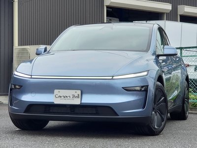 2025 Tesla MODEL Y — миниатюра 111