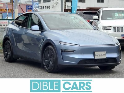 2025 Tesla MODEL Y — миниатюра 2
