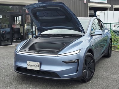 2025 Tesla MODEL Y — миниатюра 54