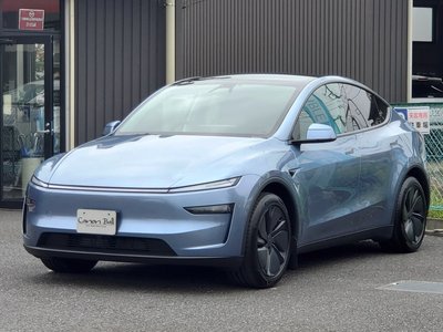 2025 Tesla MODEL Y — миниатюра 6