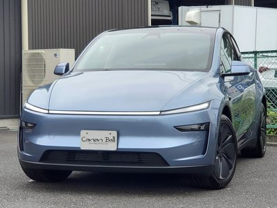 2025 Tesla MODEL Y — миниатюра 38