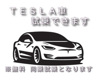 2025 Tesla MODEL Y — миниатюра 24