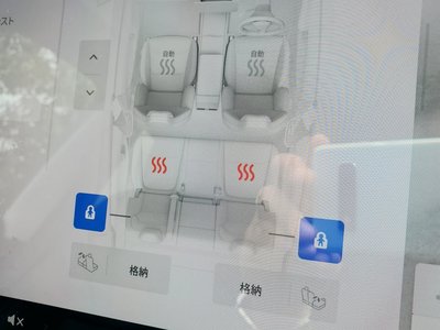 2025 Tesla MODEL Y — миниатюра 64