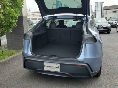 2025 Tesla MODEL Y — миниатюра 95