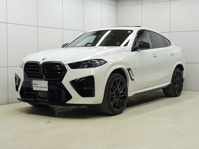 صورة 23 لـ 2023 BMW X6 M