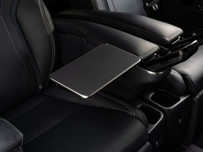 2024 Lexus LM 照片 52