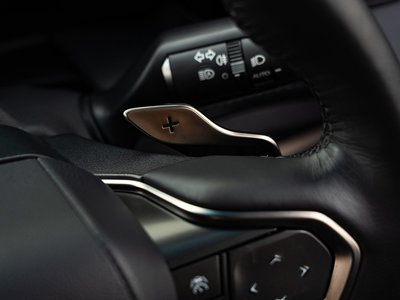 2024 Lexus LM 照片 28