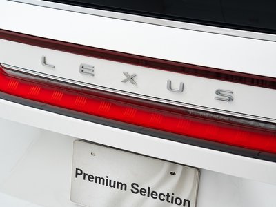 2024 Lexus LM 照片 13