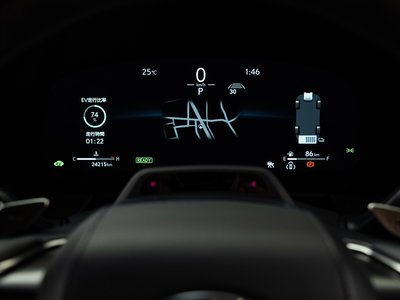 2024 Lexus LM 照片 32