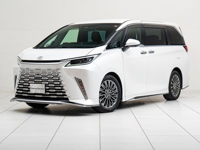 2024 Lexus LM 照片 9