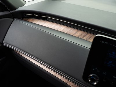 2024 Lexus LM 照片 40