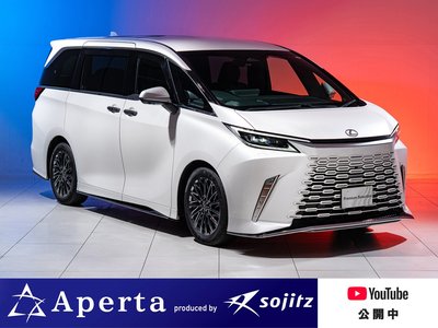 2024 Lexus LM 照片 2