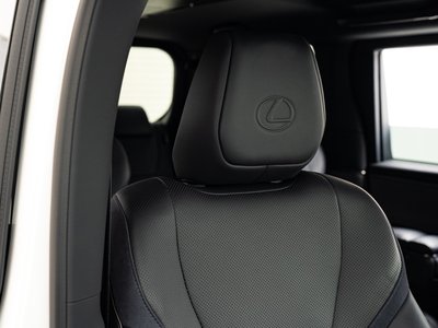 2024 Lexus LM 照片 19