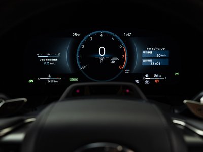 2024 Lexus LM 照片 30