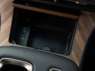 2024 Lexus LM 照片 38