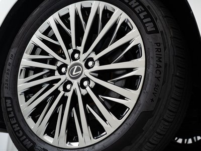 2024 Lexus LM 照片 16