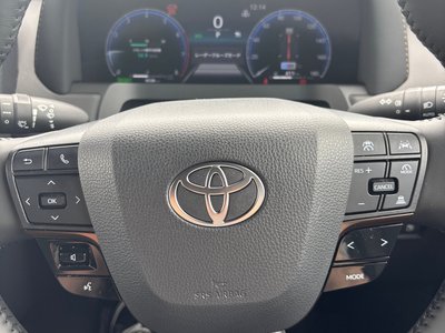 2025 Toyota ALPHARD — фото 9