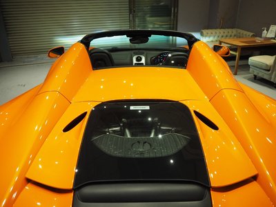 2016 Mclaren 650S SPIDER 照片 19