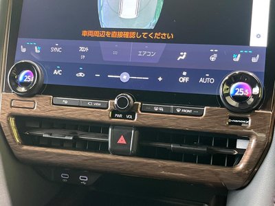 2025 Toyota ALPHARD 照片 28