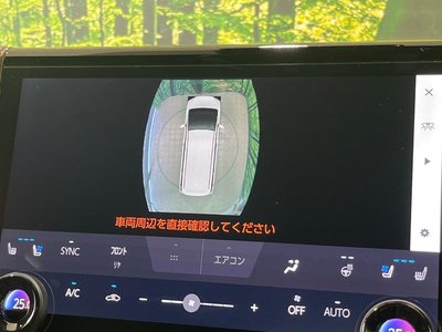 2025 Toyota ALPHARD 照片 27