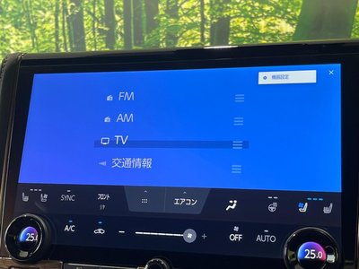 2025 Toyota ALPHARD 照片 26