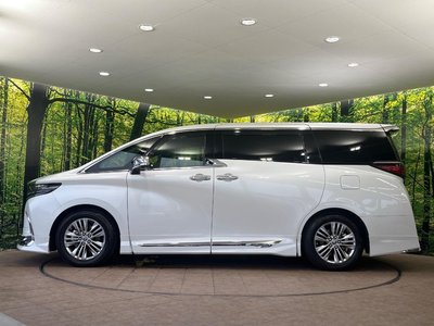 2025 Toyota ALPHARD 照片 69