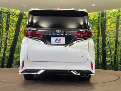 2025 Toyota ALPHARD 照片 17